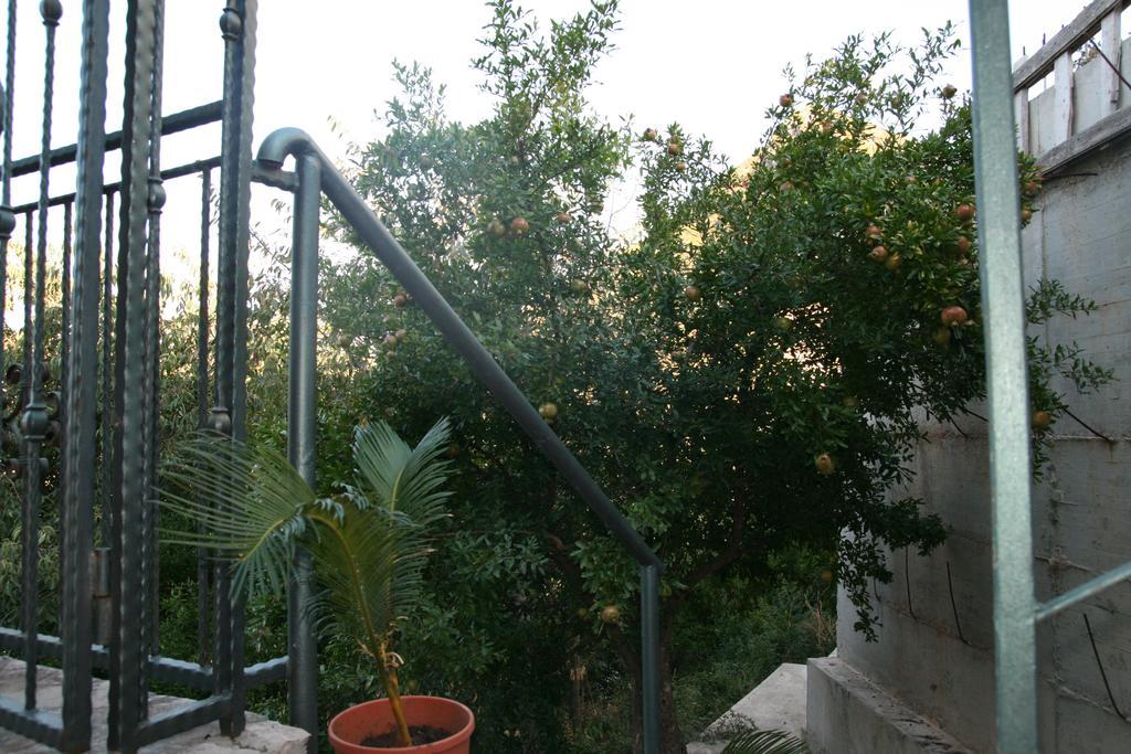 Apartments Villa Cucuk Budva Exterior photo